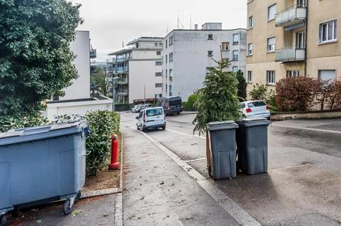 Discarded Christmas Tree Next to Garbage Bins on Urban Street After Holidays. Stock Photos