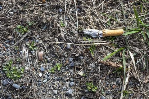 Discarded Cigarette Butt On Ground Stock Photos