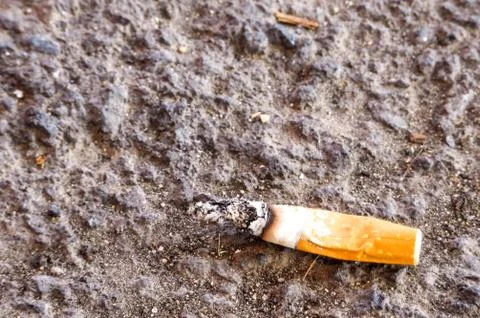 Discarded Cigarette Butt Stock Photos