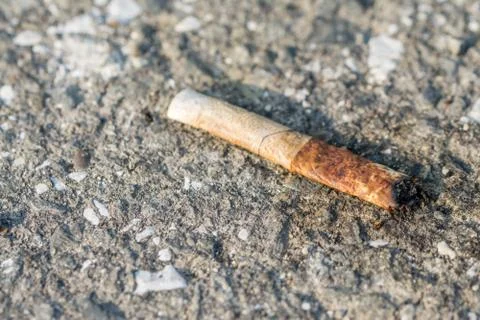 Discarded Cigarette Stock Photos