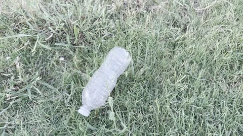 Discarded Clear Plastic Bottle on Grass Stock Footage 346475946