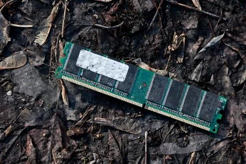 Discarded computer RAM module on forest floor litter Stock Photos