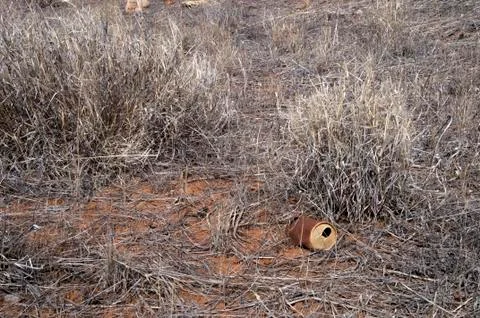 Discarded drink can rusting in grass Stock Photos