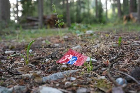 Discarded Durex Condom Wrapper on Forest Floor Stock Photos