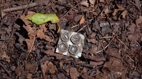 Discarded Empty Pill Blister Pack Littering a Forest Floor Stock Footage 313231805
