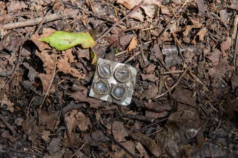Discarded Empty Pill Blister Pack Littering a Forest Floor Stock Photos