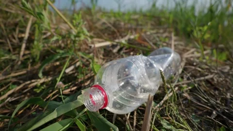 Discarded Empty Plastic Bottle with Red Cap Resting in Green Grass Stock Footage 343572881