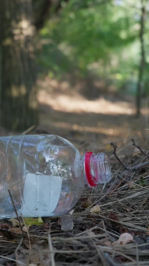 Discarded Empty Plastic Water Bottle Lying on Sunny Forest Ground Stock Footage 343574592