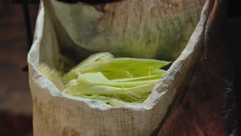 Discarded Green Corn Husks in a Rustic Burlap Sack Stock Footage 332161267