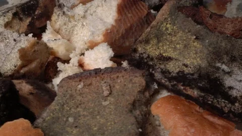 Discarded moldy bread close up. Growth of toxic black mold. Food loss and waste Stock Footage 146717396