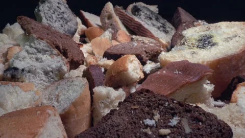 Discarded moldy bread close up. Growth of toxic black mold on the food Stock Footage 156533608
