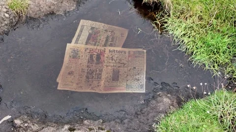 Discarded newspaper in rock pool Video stock 317330408