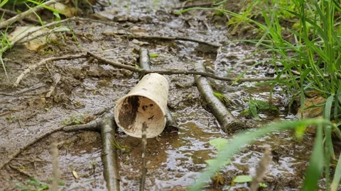 Discarded paper cup polluting a muddy stream 库存影片 334685383