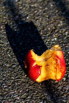 Discarded peach Stock Photos
