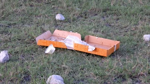 Discarded Pizza Box &amp; Food Packaging On Grass: Lahore, Pakistan. 25 Jul 2026 Stock Footage 340500702