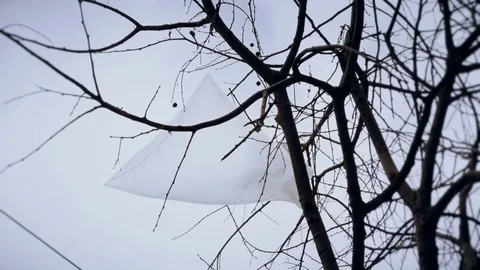 Discarded plastic bag caught in the branches of a tree, stock footage. 스톡 동영상 76293113