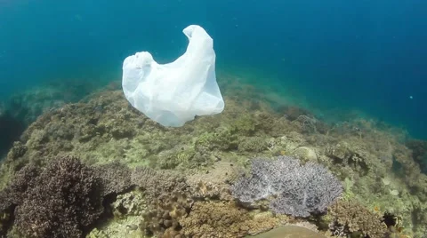 Discarded plastic bag floating next to a coral reef Vidéo 40703458