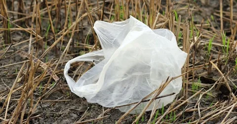 Discarded plastic bag lying on dry grass field, representing pollution Stock-Footage 334700218