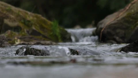 Discarded plastic bottle. Ecology pollution. Empty bottle plastic garbage river 動画素材 158572218