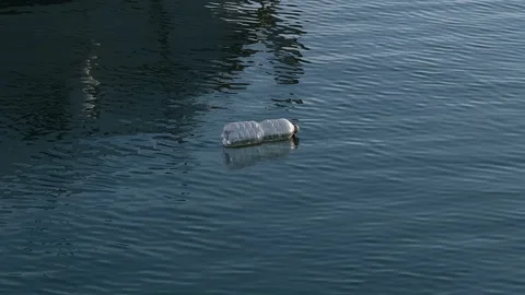 Discarded Plastic bottle floating on sea water surface,environment nature waste Stock Footage 173206419