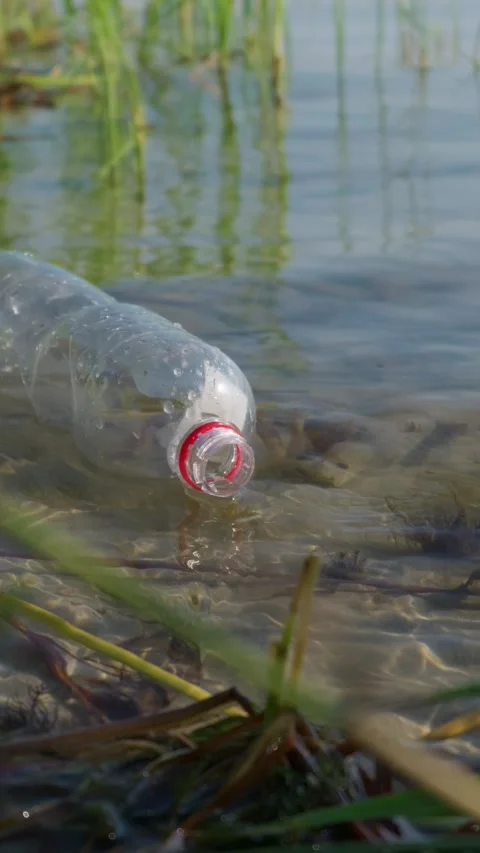 Discarded Plastic Bottle Floating in Shallow Lake Water Near Shore Video stock 343574315