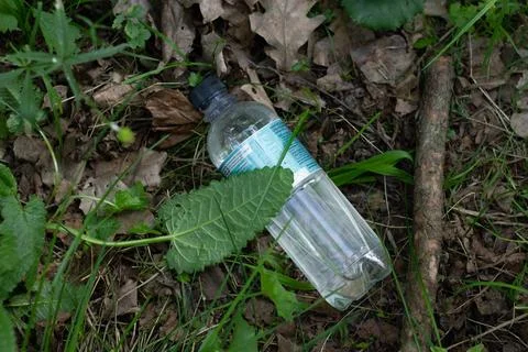 A discarded plastic bottle on the ground  Stock Photos