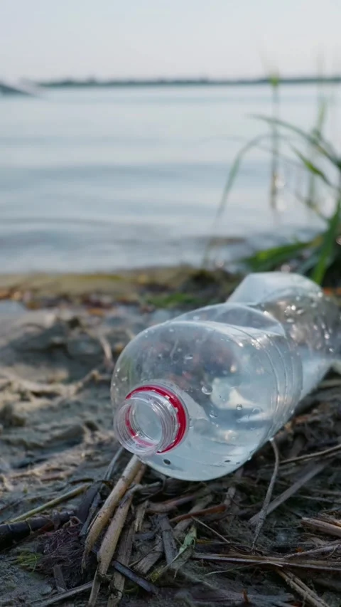 Discarded Plastic Bottle Litter Lying on Sandy Shoreline Near Water Stock Footage 343574333