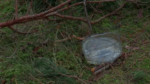 Discarded plastic bottle lying on mossy forest floor among fallen branches and Stock Footage 345265419