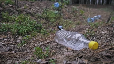 Discarded Plastic Bottle Lying on Pine Forest Ground Stock Footage 322108743