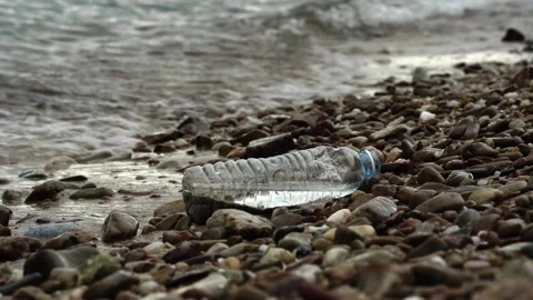 Discarded plastic bottle lying on sandy beach, environmental pollution 스톡 동영상 317883071