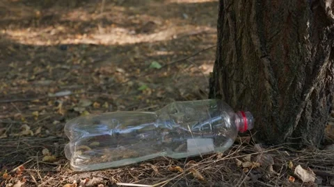 Discarded Plastic Bottle Resting on Ground Beside Tree in Woodland 스톡 동영상 343573379