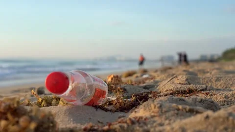 A discarded plastic bottle on a sandy beach, illustrating the impact of 動画素材 346740381