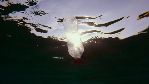 Discarded plastic bottle slowly drifting under surface of water in sun rays on Stock Footage 314220072