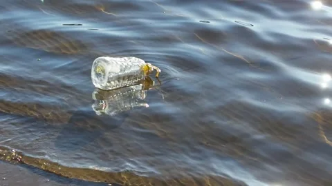Discarded plastic bottle on surface of water near shore. Stock Footage 297659568