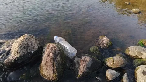 Discarded plastic bottle trapped among stones in a shallow river stream Stock Footage 342954190