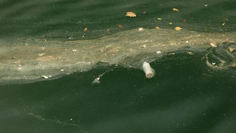 Discarded plastic bottles and toxic waste in the sea 6K Stock Footage 301673837