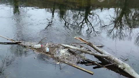 Discarded plastic bottles trash pollution on mountain river,environmental waste Video stock 150263803