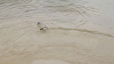 Discarded plastic bottles washed ashore by ocean waves on a sandy beach Stock Footage 344604338