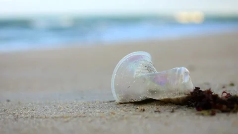Discarded Plastic Cup in the Sand at the Beach with Ocean Waves Stock Footage 258295514