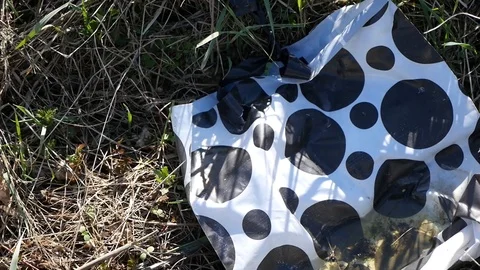 Discarded plastic nylon bag dropped in the grass Stock Footage 88597955