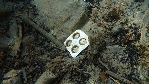 Discarded plastic pill packaging on the seabed, Ligurian Sea. Sea pollution. Stock Photos
