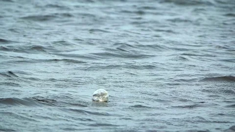 Discarded, plastic soda bottle in the surf 库存影片 72698879