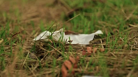 Discarded Plastic Trash and Debris in Rural Field 3 Stock Footage 346700499