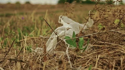 Discarded Plastic Trash and Debris in Rural Field 4 Stock Footage 346700646