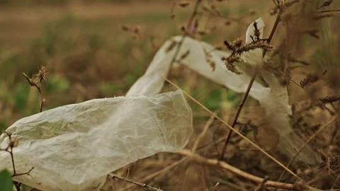 Discarded Plastic Trash and Debris in Rural Field 6 Stock Footage 346700940