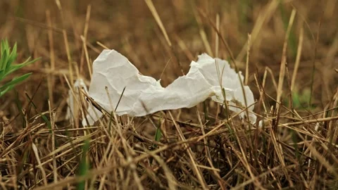 Discarded Plastic Trash and Debris in Rural Field 8 Stock Footage 346701087
