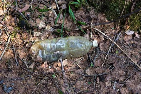Discarded plastic trash in the forest. Lying in the forest on last year's lea Stock Photos