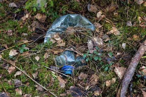 Discarded plastic trash in the forest. A plastic bottle left in the forest is Stockfoto's