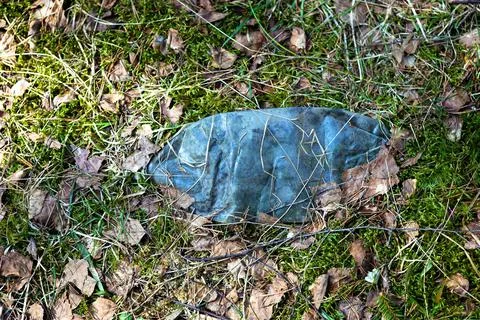 Discarded plastic trash in the forest. A plastic bottle left in the forest co Foto stock
