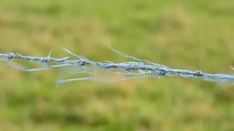 Discarded plastic waste material stuck on wire fence. 스톡 동영상 73393511